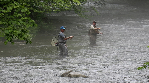 Trout Fishing